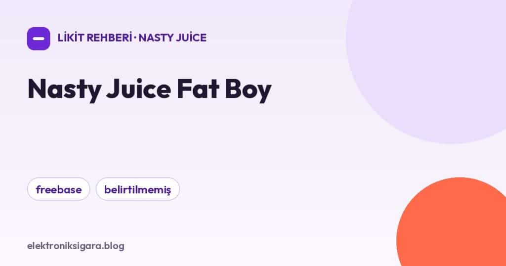 Nasty Juice Fat Boy